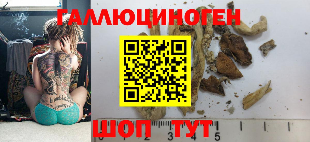 Галлюциногенные грибы ЛСД Новоалександровск
