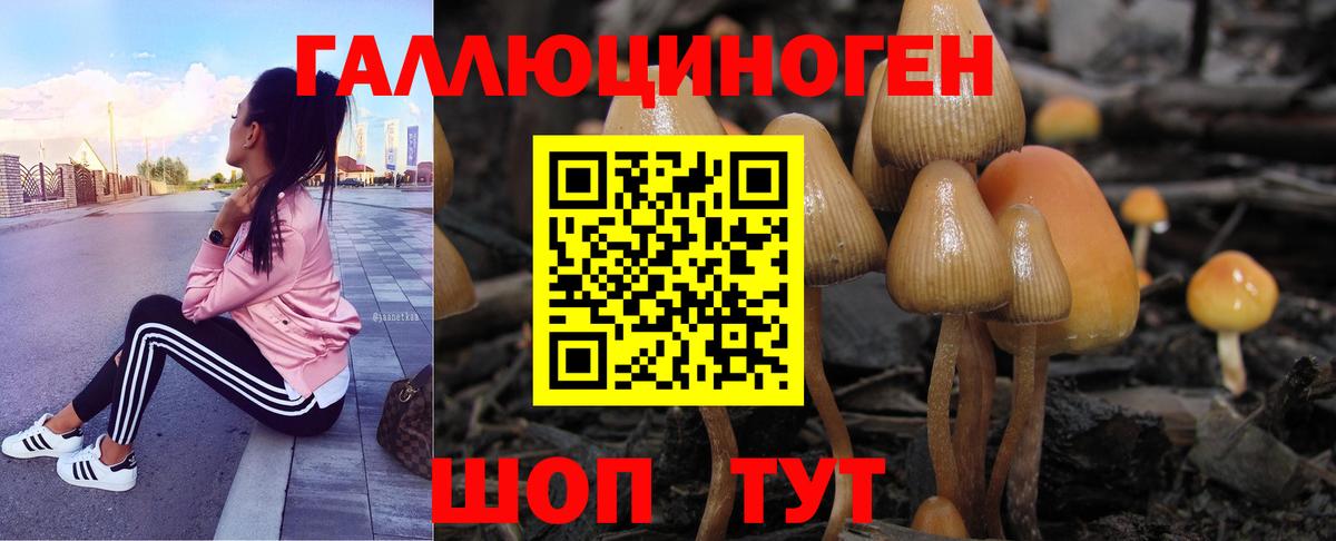 Новоалександровск  Псилоцибиновые грибы прущие грибы  что такое   Вход с VPN  Псилоцибиновые грибы Psilocybe 