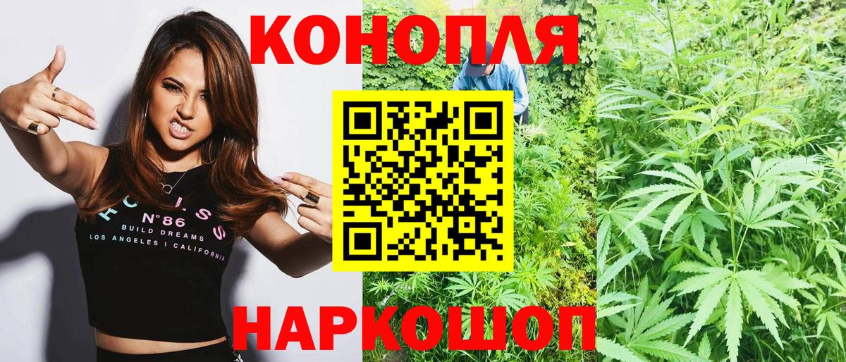 Канабис индика Новоалександровск